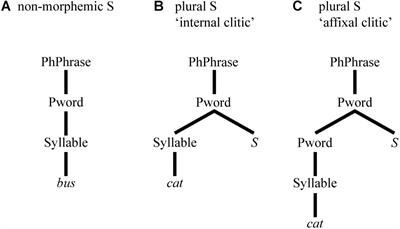 Durational Differences of Word-Final /s/ Emerge From the Lexicon: Modelling Morpho-Phonetic Effects in Pseudowords With Linear Discriminative Learning